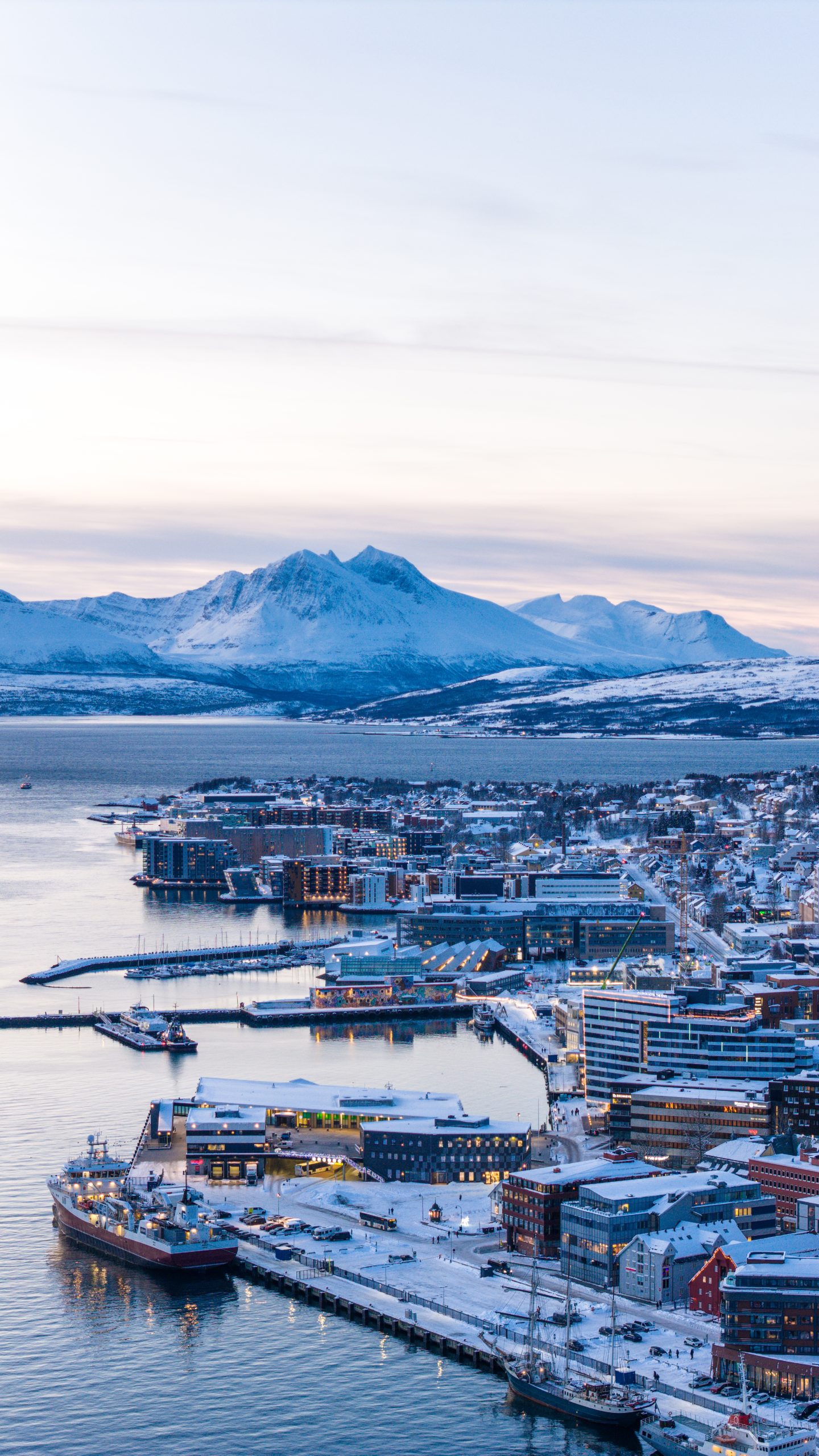 Snorkeling with Orcas in Norway - Ladies Only - Image 8