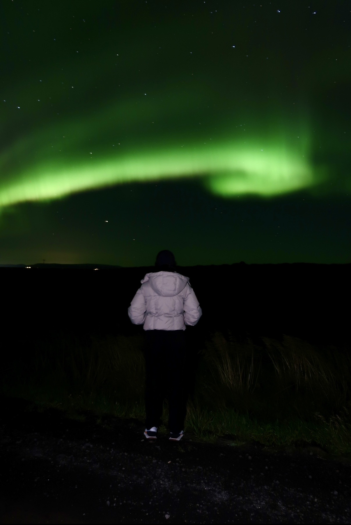Snorkeling with Orcas in Norway - Ladies Only - Image 9