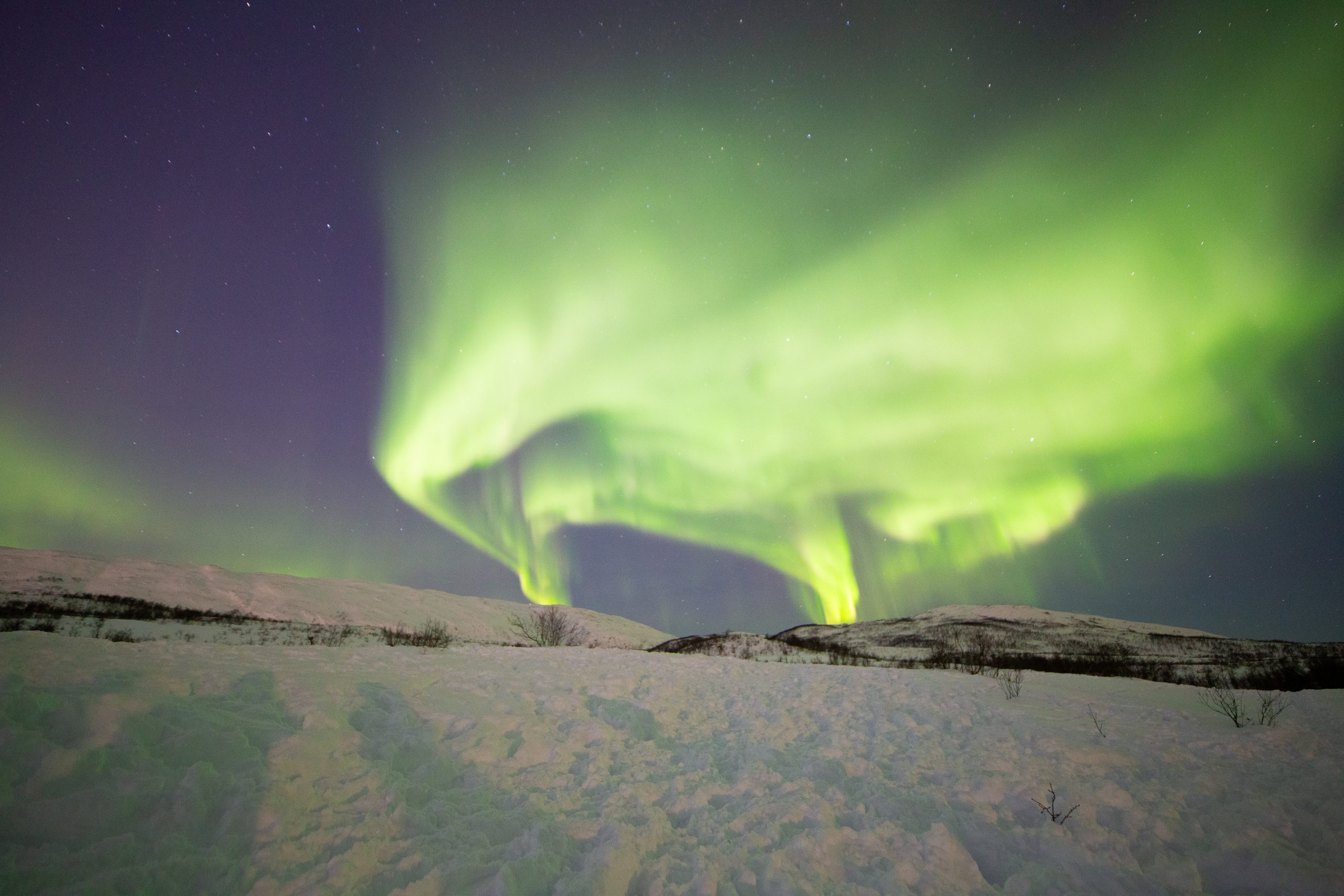 Snorkeling with Orcas in Norway - Ladies Only - Image 10