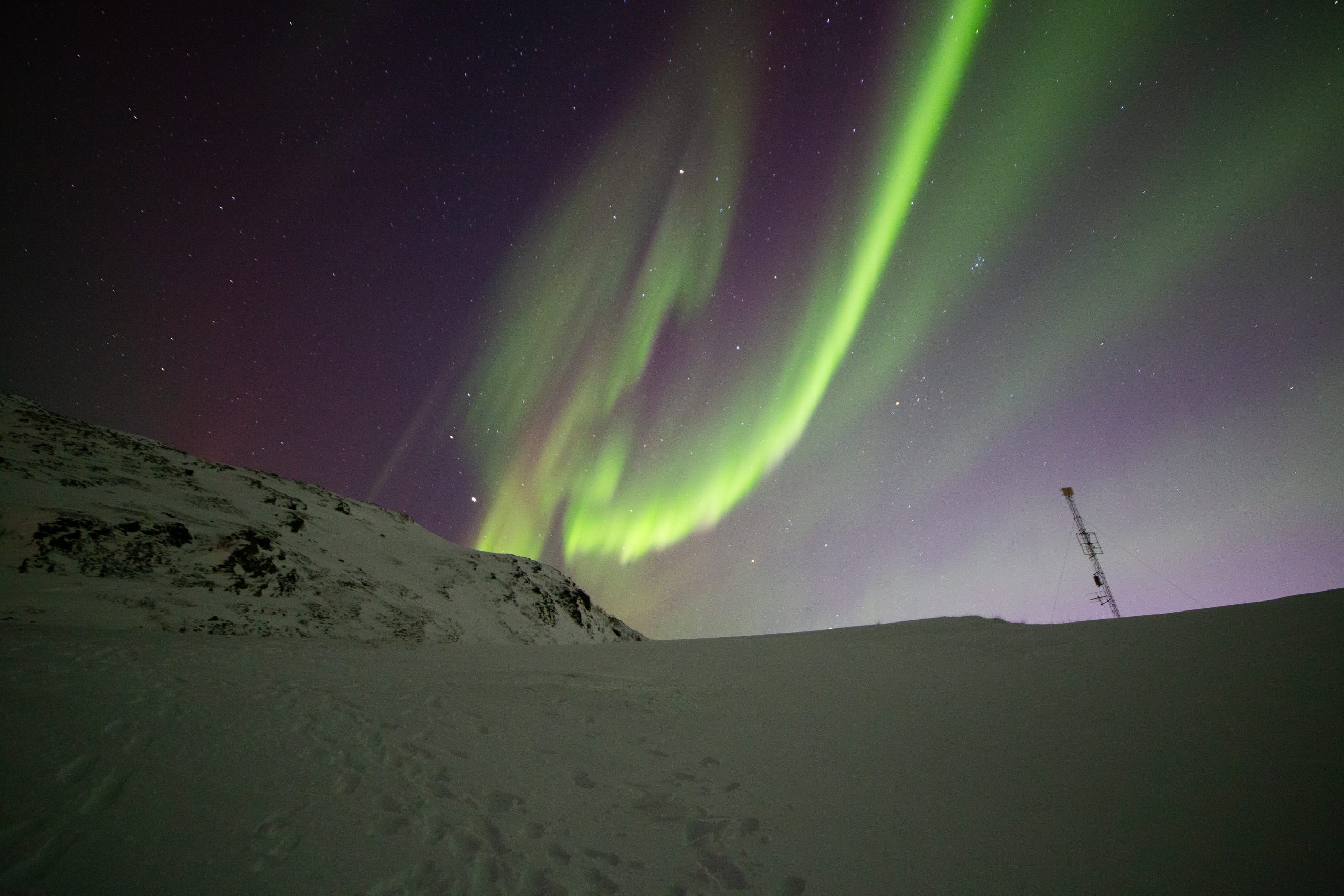 Snorkeling with Orcas in Norway - Ladies Only - Image 11
