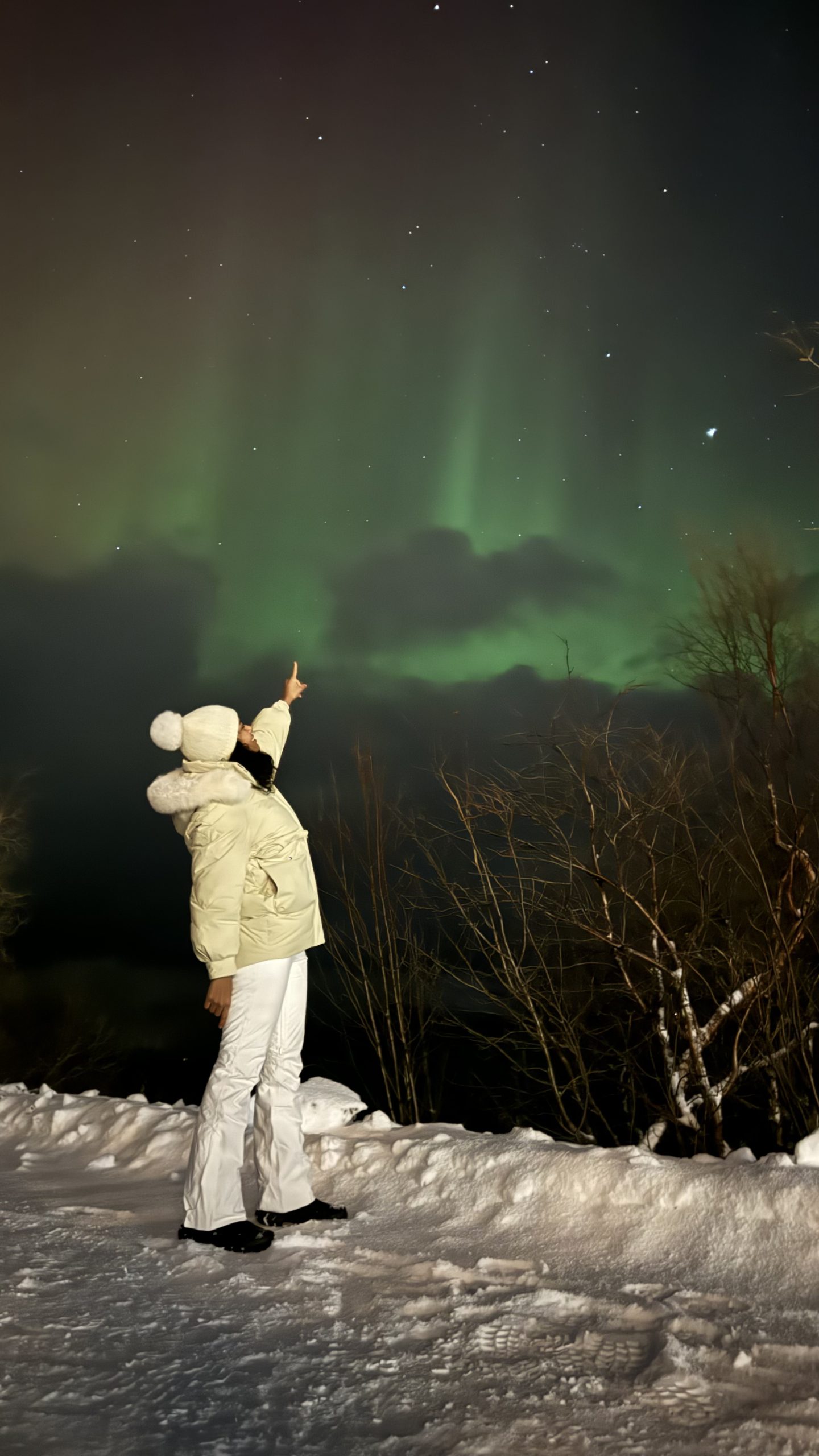 Snorkeling with Orcas in Norway - Ladies Only - Image 6